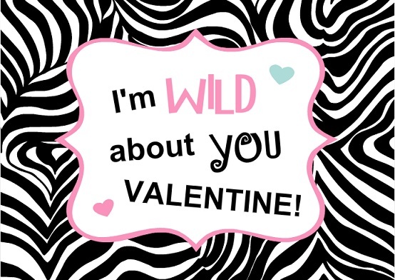 Zebra Heart Valentine's Day Card